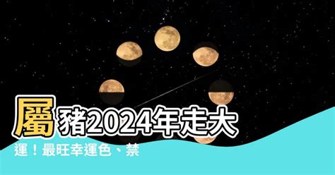 屬豬 幸運色|2024豬年開運色速查